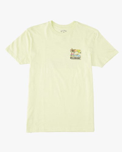 Billabong (2-7) BBTV Corta Sleeve T-Shirt Verde Claro | BLYZQI568