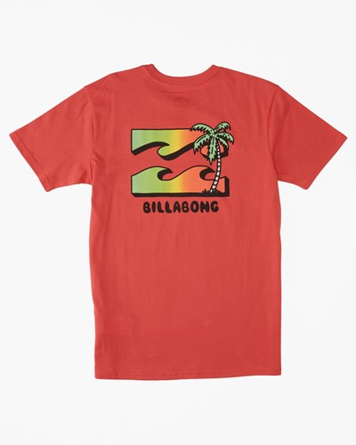 Billabong (2-7) BBTV Corta Sleeve T-Shirt Coral | VHGLCJ203