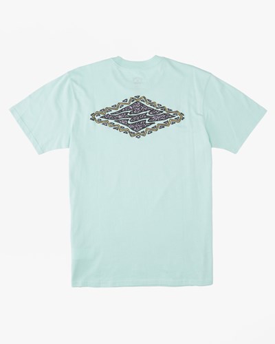 Billabong (2-7) Crayon Wave Corta Sleeve T-Shirt Verde Menta | OFALSB651