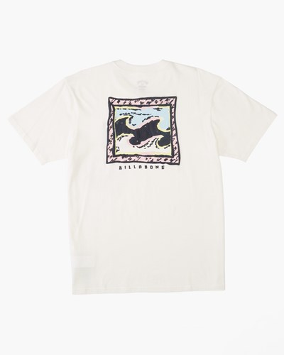 Billabong (2-7) Crayon Wave Corta Sleeve T-Shirt Blancas | UMNLPI928