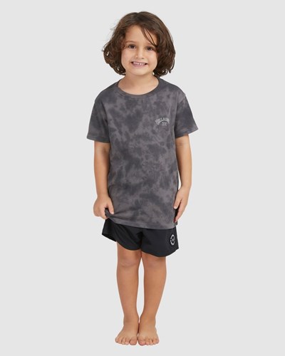 Billabong (2-7) Groms Arch Tie-Dye Corta Sleeve T-Shirt Negras | MQZBWH809