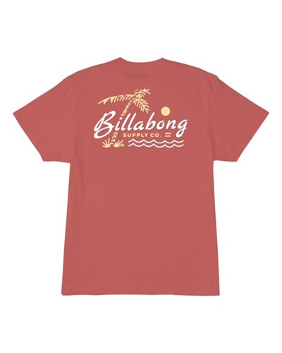 Billabong (2-7) Social Lounge Corta Sleeve T-Shirt Rosas | AKYBGS035