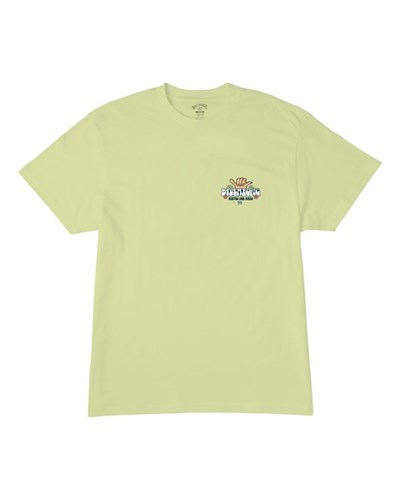 Billabong (2-7) Waves For Days Corta Sleeve T-Shirt Verde Menta | NLEHUO950