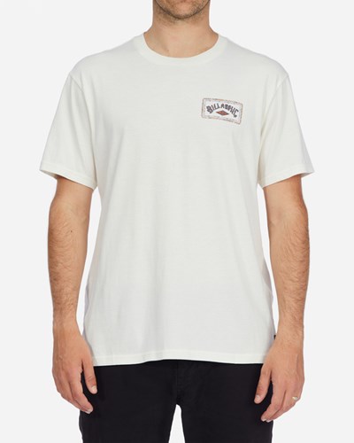 Billabong A/Div Arch Organic Corta Sleeve T-Shirt Blancas | FLXSCK650