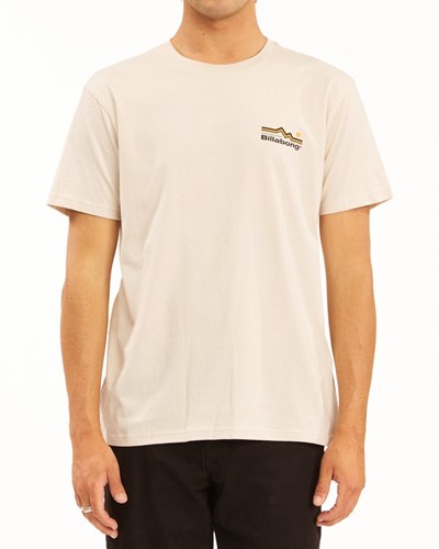 Billabong A/Div Denver Corta Sleeve T-Shirt Moon | BXYIVD251