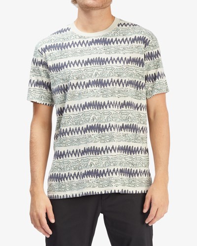 Billabong A/Div Halfrack Corta Sleeve T-Shirt Moon | PAVJLH576