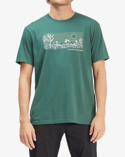 Billabong A/Div Journey Organic Corta Sleeve T-Shirt Alpine | MNDIXZ538