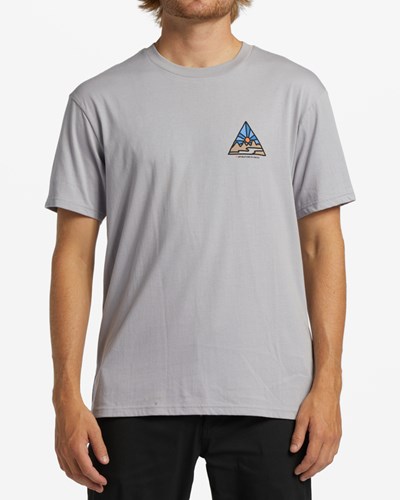 Billabong A/Div Shine Corta Sleeve T-Shirt Gris | CHZXFV470