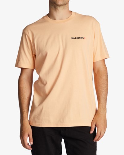 Billabong A/Div Shine Corta Sleeve T-Shirt Sherbet | EATYMP937