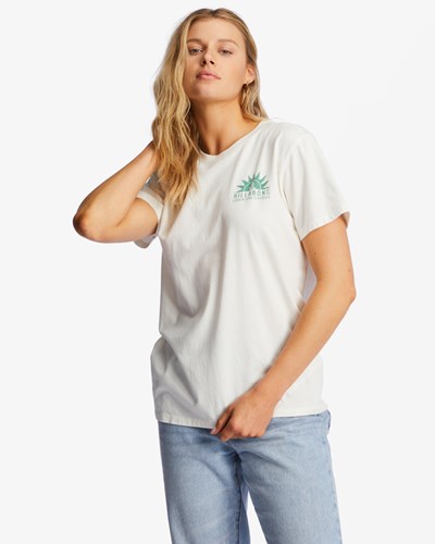 Billabong A/Div Tee Corta Sleeve UPF 50 T-Shirt Fresh Powder | BNDXYI283