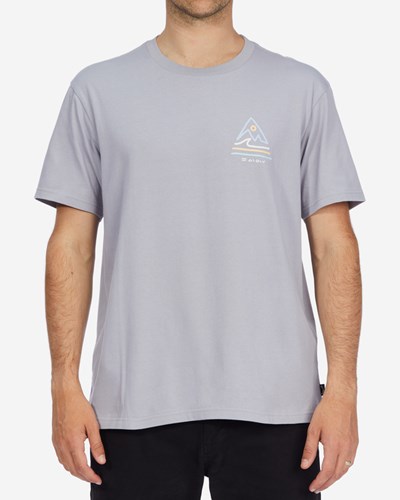 Billabong A/Div Trails Organic Corta Sleeve T-Shirt Moradas | QXIZTG259