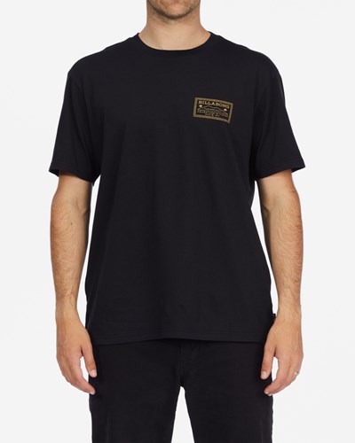 Billabong A/Div Valley Organic Corta Sleeve T-Shirt Negras | GCDTQR602