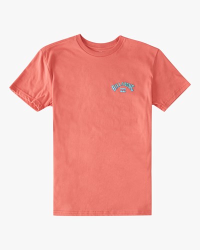 Billabong Arch Fill Corta Sleeve T-Shirt Rosas | VRMLBD291