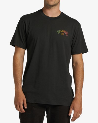 Billabong Arch Fill Corta Sleeve T-Shirt Negras | WVZTBN297