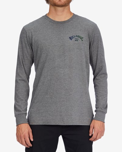 Billabong Arch Fill Long Sleeve T-Shirt Gris | DXMSUC019