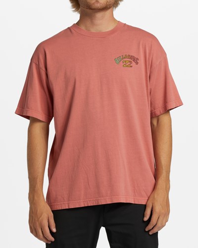 Billabong Arch Wave Washed Corta Sleeve T-Shirt Coral | IKRMTN423