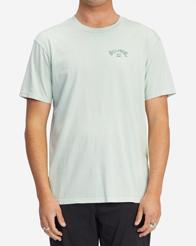 Billabong Arch Wave Washed Corta Sleeve T-Shirt Seaglass | RAOLHT529