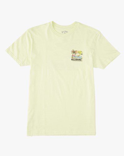 Billabong BBTV Corta Sleeve T-Shirt Verde Claro | HZQXKM873