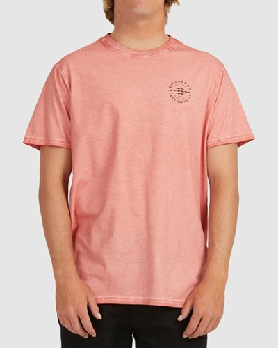 Billabong Big Wave Dan Corta Sleeve T-Shirt Rosas | AOTREB025