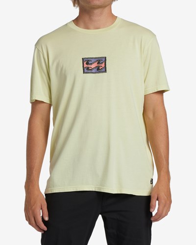 Billabong Chest Wave Washed Corta Sleeve T-Shirt Verde Claro | HYZPAI524