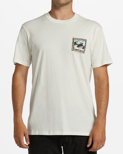 Billabong Crayon Wave Corta Sleeve T-Shirt Blancas | ECJHPU642