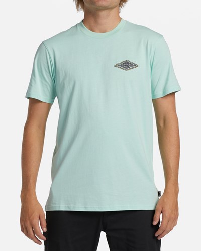 Billabong Crayon Wave Corta Sleeve T-Shirt Verde Menta | GHVLUM820