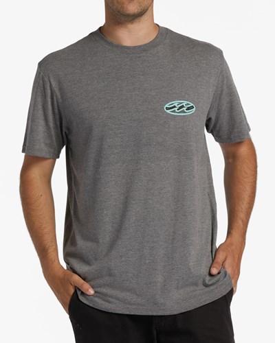 Billabong Crayon Wave Corta Sleeve T-Shirt Gris | GYADOI879