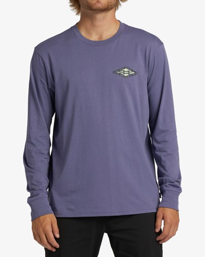 Billabong Crayon Wave Long Sleeve T-Shirt Moradas | IJCGNA248