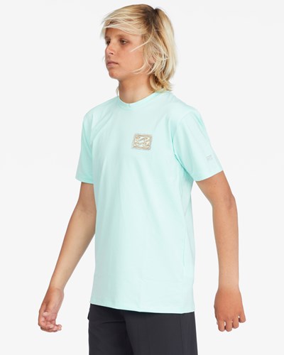 Billabong Crayon Wave Loose Fit Corta Sleeve Surf Tee Verde Menta | AMWDJN350