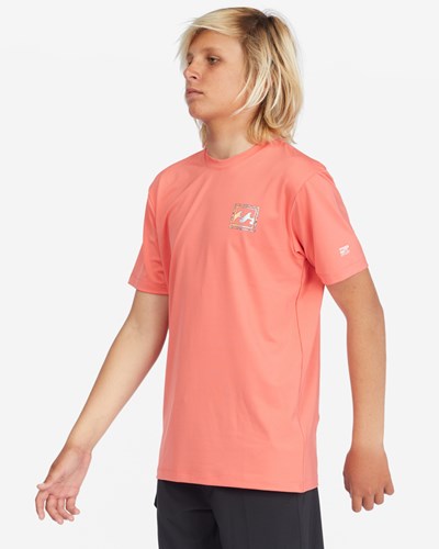 Billabong Crayon Wave Loose Fit Corta Sleeve Surf Tee Coral | KWXFRN720