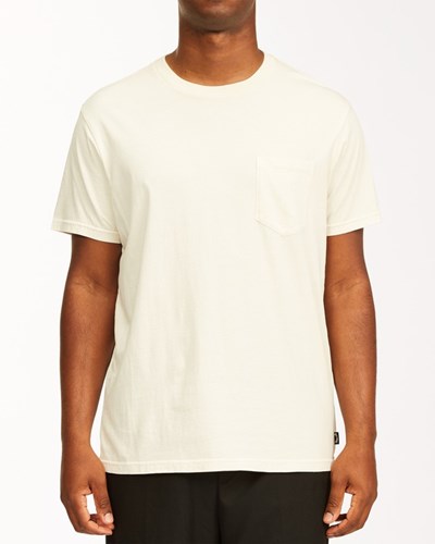 Billabong Essential Pocket Wave Washed T-Shirt Blancas | PDBSLI024