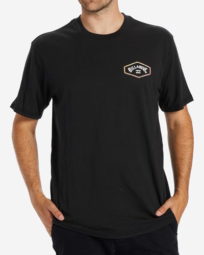 Billabong Exit Arch Corta Sleeve T-Shirt Negras | JIOCML681