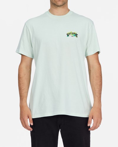 Billabong Kamea Arch Jungle Corta Sleeve T-Shirt Seaglass | DNWBRF231