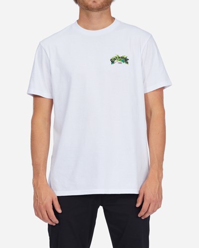 Billabong Kamea Arch Jungle Corta Sleeve T-Shirt Blancas | TZBKNJ416