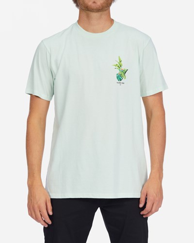 Billabong Kamea Jungle Corta Sleeve T-Shirt Seaglass | BGPJOZ425