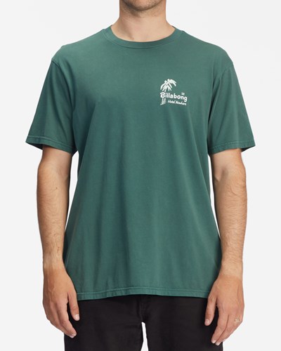 Billabong Leaves Wave Washed Corta Sleeve T-Shirt Alpine | FRUIPD560