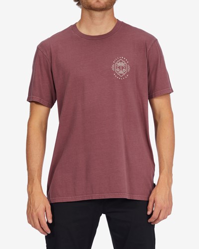 Billabong Light Wave Washed Corta Sleeve T-Shirt Oxblood | PDLEKV724