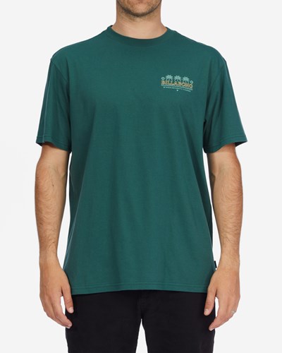 Billabong Lounge Corta Sleeve T-Shirt Cypress | ANVQEK704