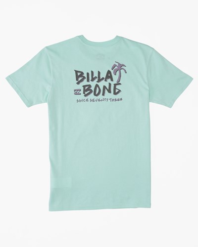 Billabong Lounge Corta Sleeve T-Shirt Verde Menta | FYVOSZ735