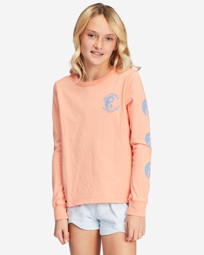 Billabong Love Is All Long Sleeve Estampadas Boyfriend T-Shirt Canyon Sunset | NEHVBX789