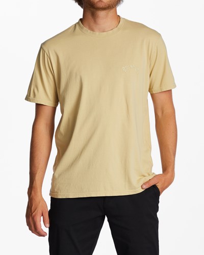 Billabong Mesa Wave Washed Organic Corta Sleeve T-Shirt Straw | AGNBWI479