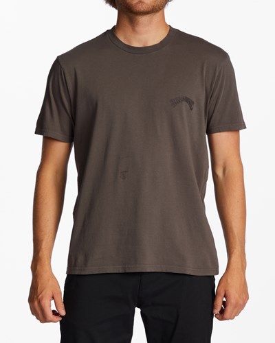 Billabong Mesa Wave Washed Organic Corta Sleeve T-Shirt Asphalt | NCPJAK435