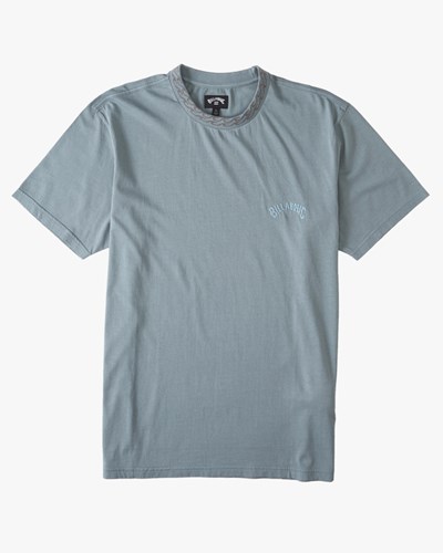 Billabong Mesa Wave Washed Organic Corta Sleeve T-Shirt Azules | QSCBYJ053