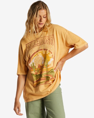 Billabong Midnight Ravers T-shirt Doradas | LYDRNV379