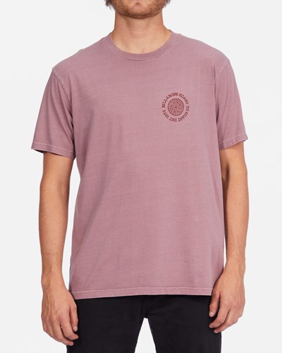 Billabong Radius Wave Washed Corta Sleeve T-Shirt Dusty Palm | RYMQOP724