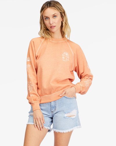 Billabong Shrunken Crew Pullover Sweatshirt Ginger | SBQOTN071