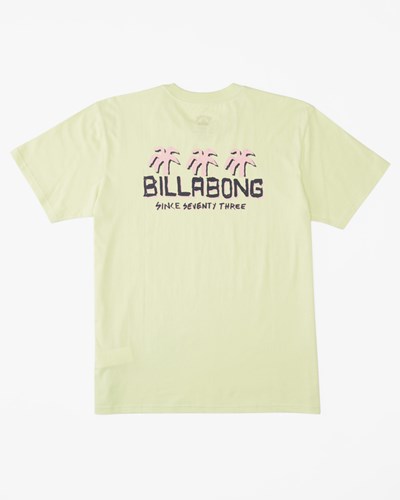 Billabong Social Club Corta Sleeve T-Shirt Verde Claro | EJIASW910