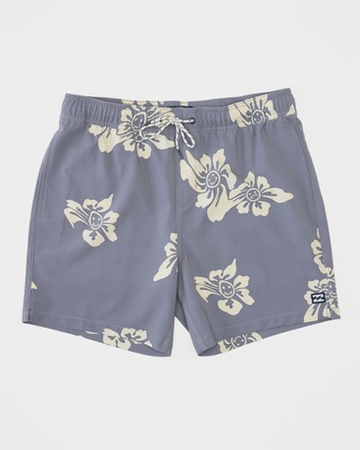 Billabong Sundays Layback Boardshorts 17" Moradas | QJLTKE412