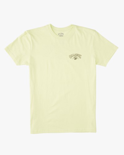 Billabong Theme Arch Corta Sleeve T-Shirt Verde Claro | CRTBNU785