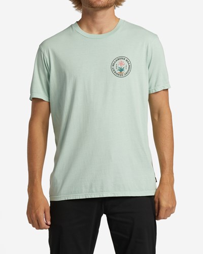 Billabong Trademark Wave Washed Corta Sleeve T-Shirt Verde Menta | LUXZBE231